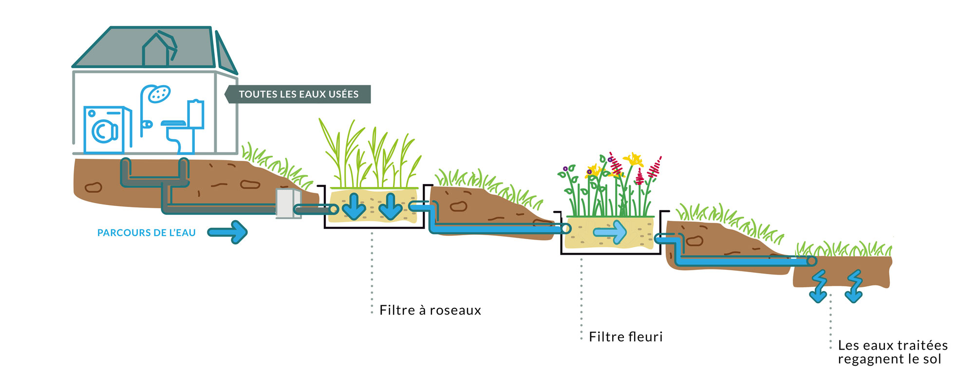 phytoépuration - jardin assainissement écologique - LuxuryLittleHome Assainissement chalet autonome